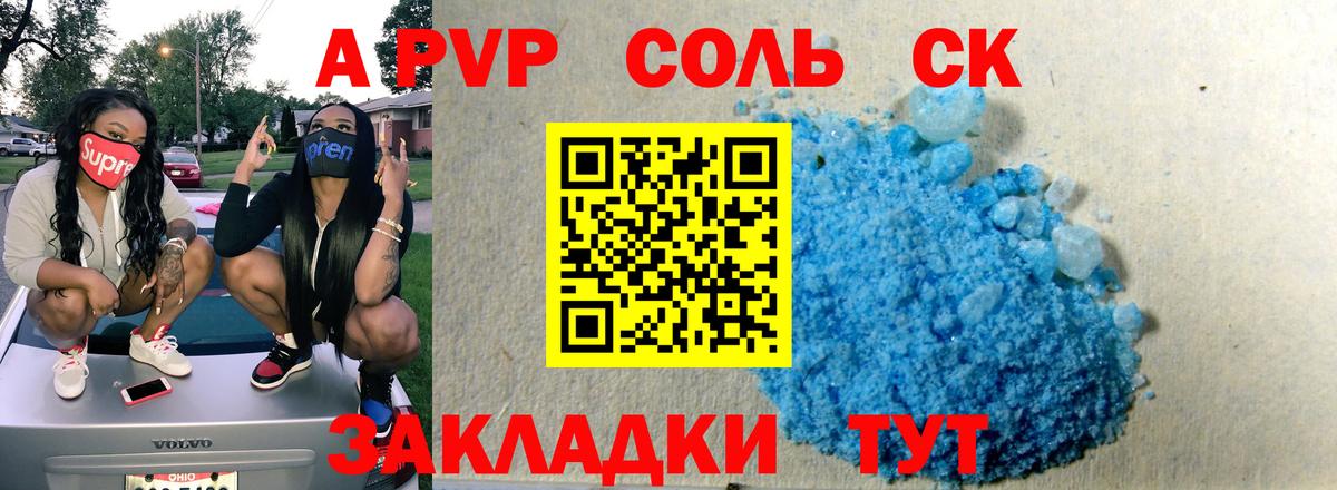 A PVP СК КРИС Светлоград