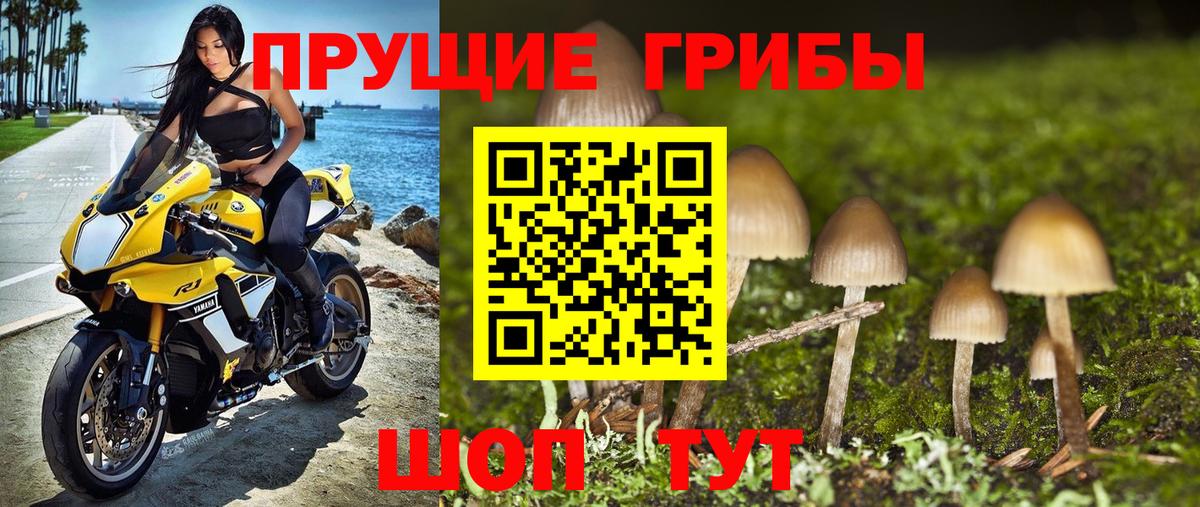 Галлюциногенные грибы ЛСД  Галлюциногенные грибы Psilocybine cubensis  Светлоград  Вход с VPN 