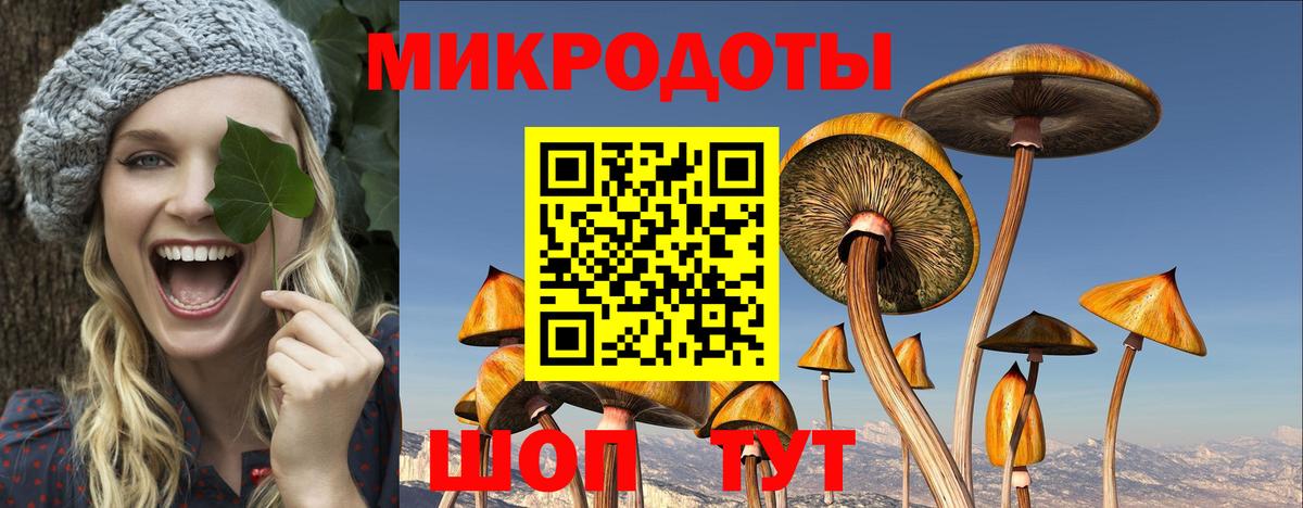 Галлюциногенные грибы Cubensis Светлоград